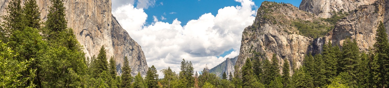 Yosemite National Park.