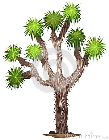 Joshua Tree Clip Art.