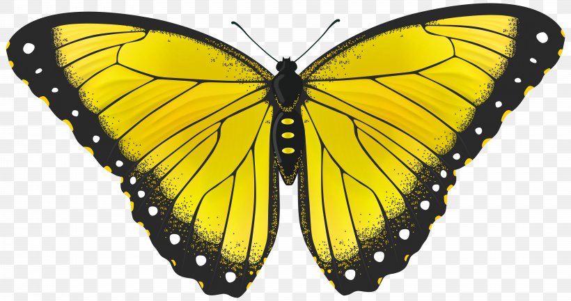 Butterfly Yellow Clip Art, PNG, 8000x4221px, Butterfly.