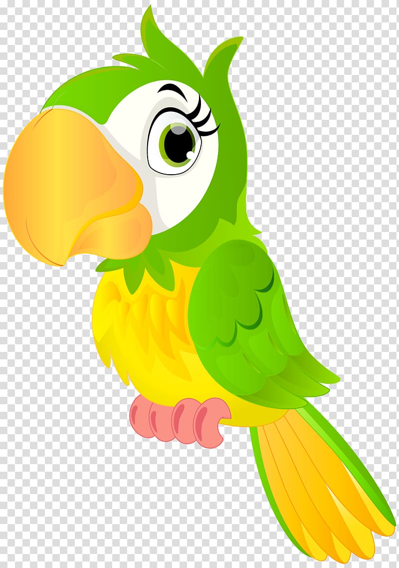 Green and yellow parrot illustration, Parrot Bird , Parrot.