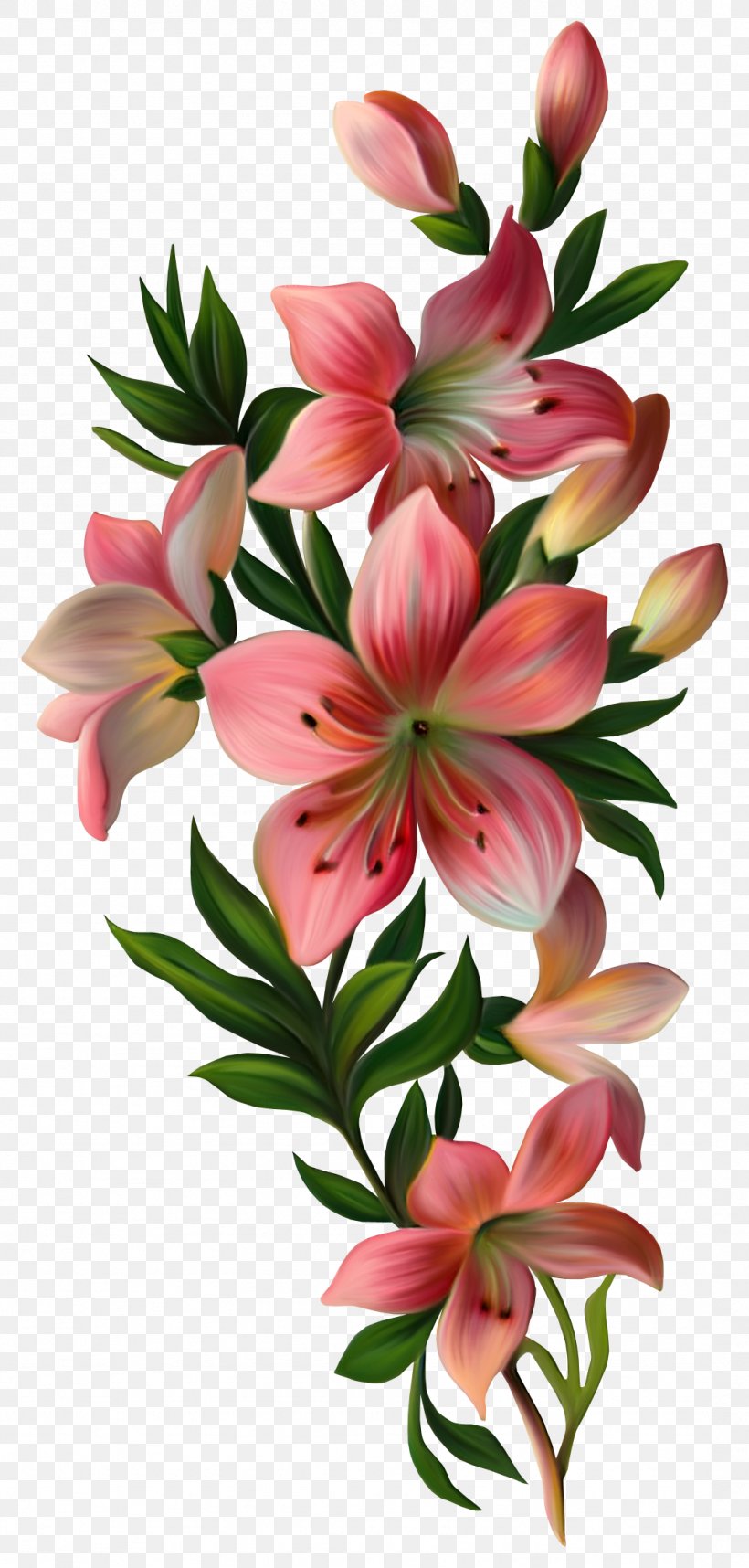 Flower Vintage Clothing Clip Art, PNG, 1076x2253px, Flower.