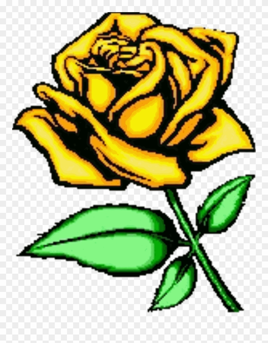 Cartoon Rose Pictures.