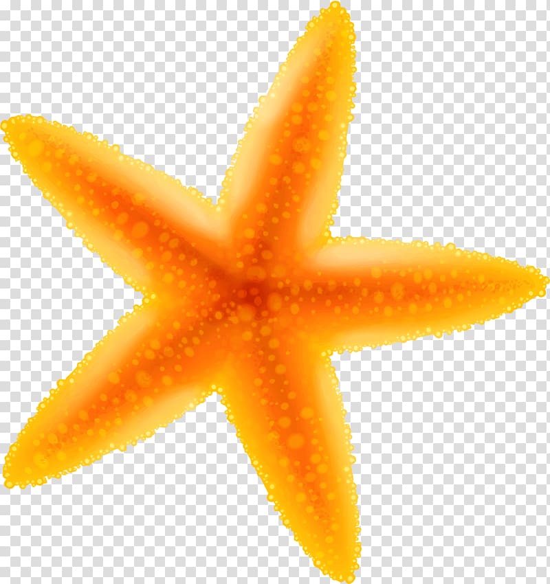 Yellow cartoon starfish transparent background PNG clipart.