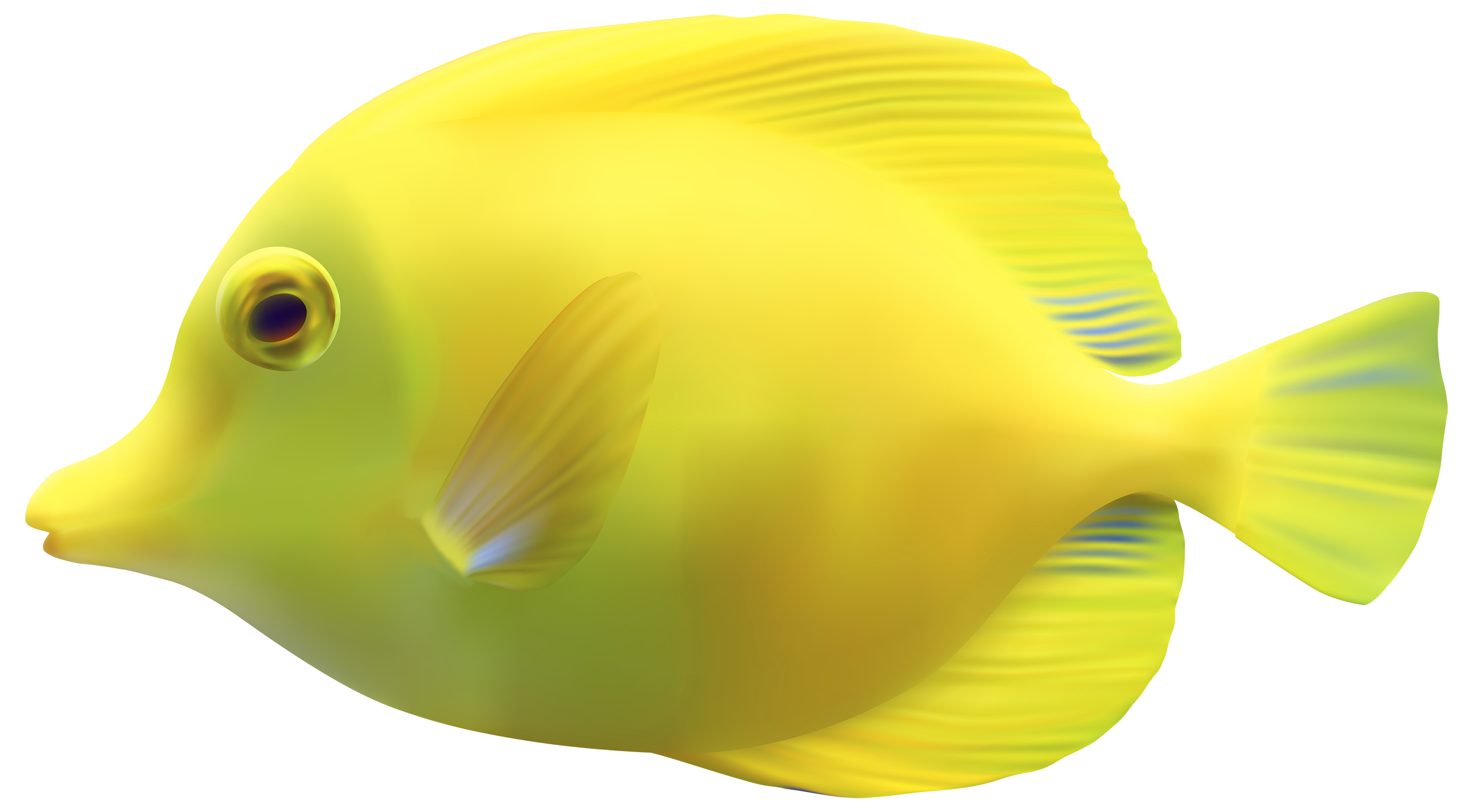 Yellow ZebrasomaTang Fish PNG Clipart.