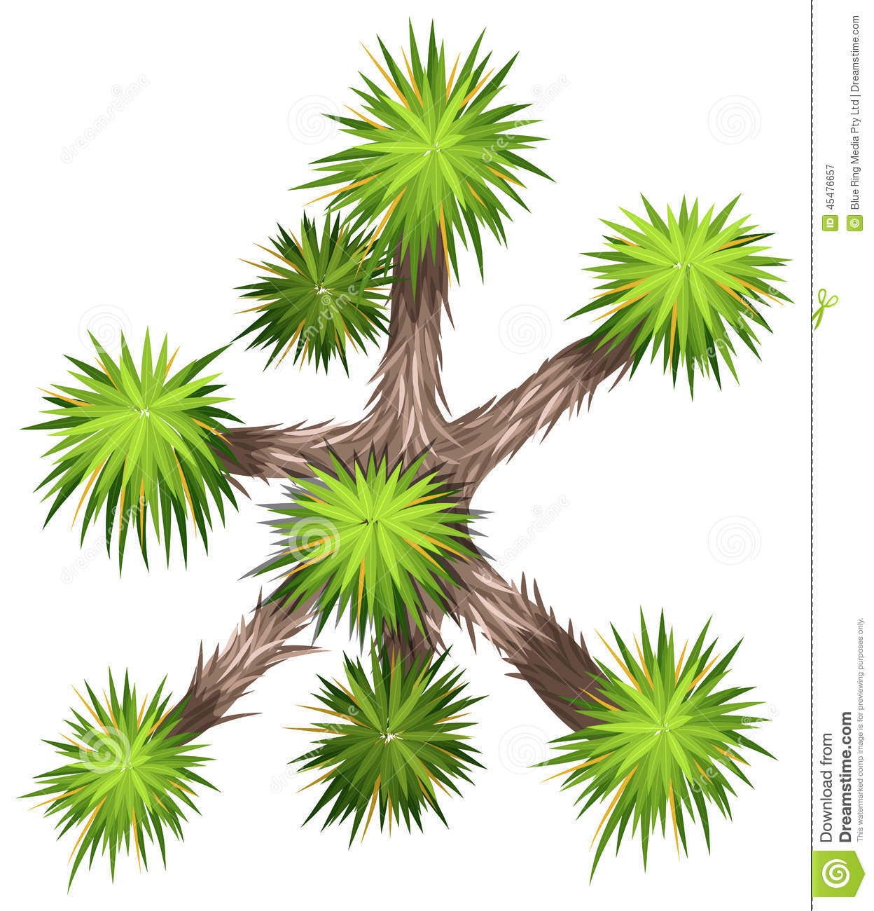 Yucca Brevifolia Stock Vector.