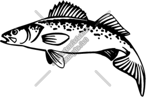 Walleye Clipart.