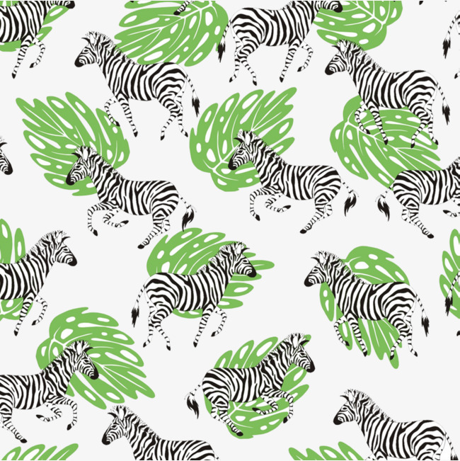 Zebra PNG clipart.