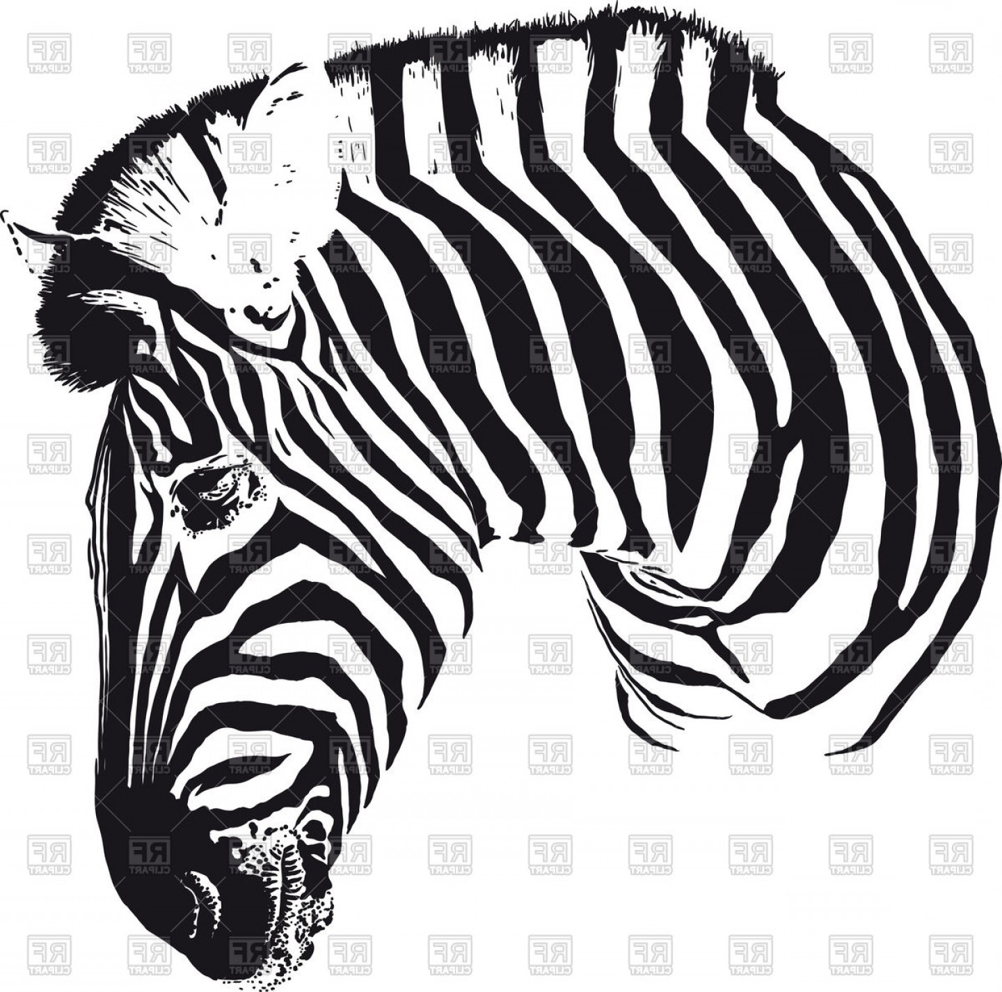 Painted Black Stripes Zebra Head Turned In Profile Vector.