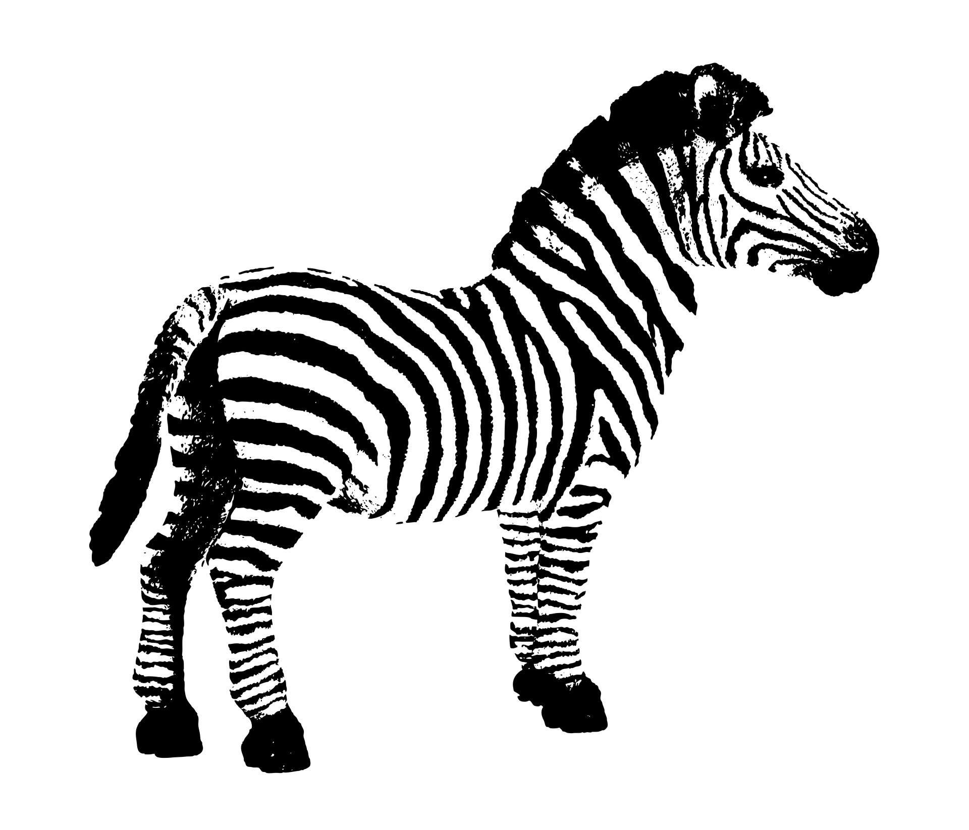 3654 Zebra free clipart.