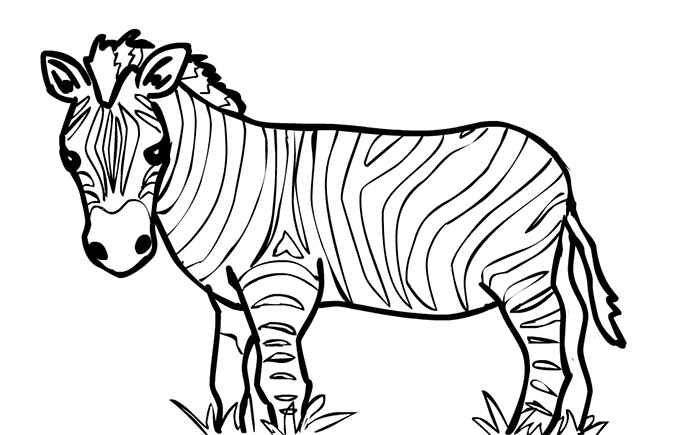 Zebra Outline Png & Free Zebra Outline.png Transparent Images #3928.