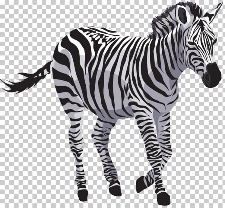 Zebra Quagga , zebra PNG clipart.