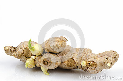 Zingiber Officinale Stock Photo.