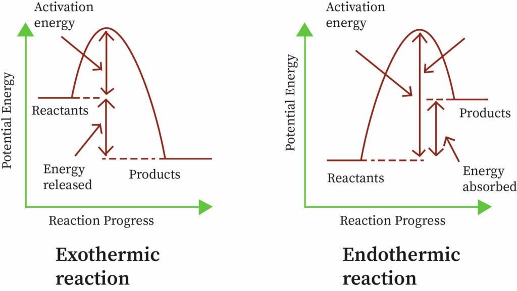 "Endothermic and Exothermic reactions"