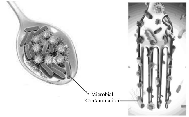 An Image of a spoon and a fork contaminated with microbes.