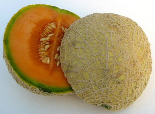 Musk Melon Oil - Feature: Fragrance Compound