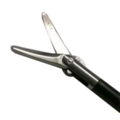 Curved Scissors