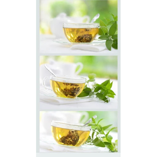 Green Tea Extract - Physical Form: Liquid