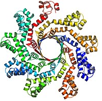 Computational Molecular Biology