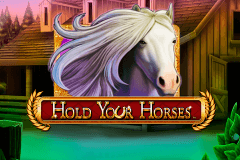 logo hold your horses novomatic hry automaty 