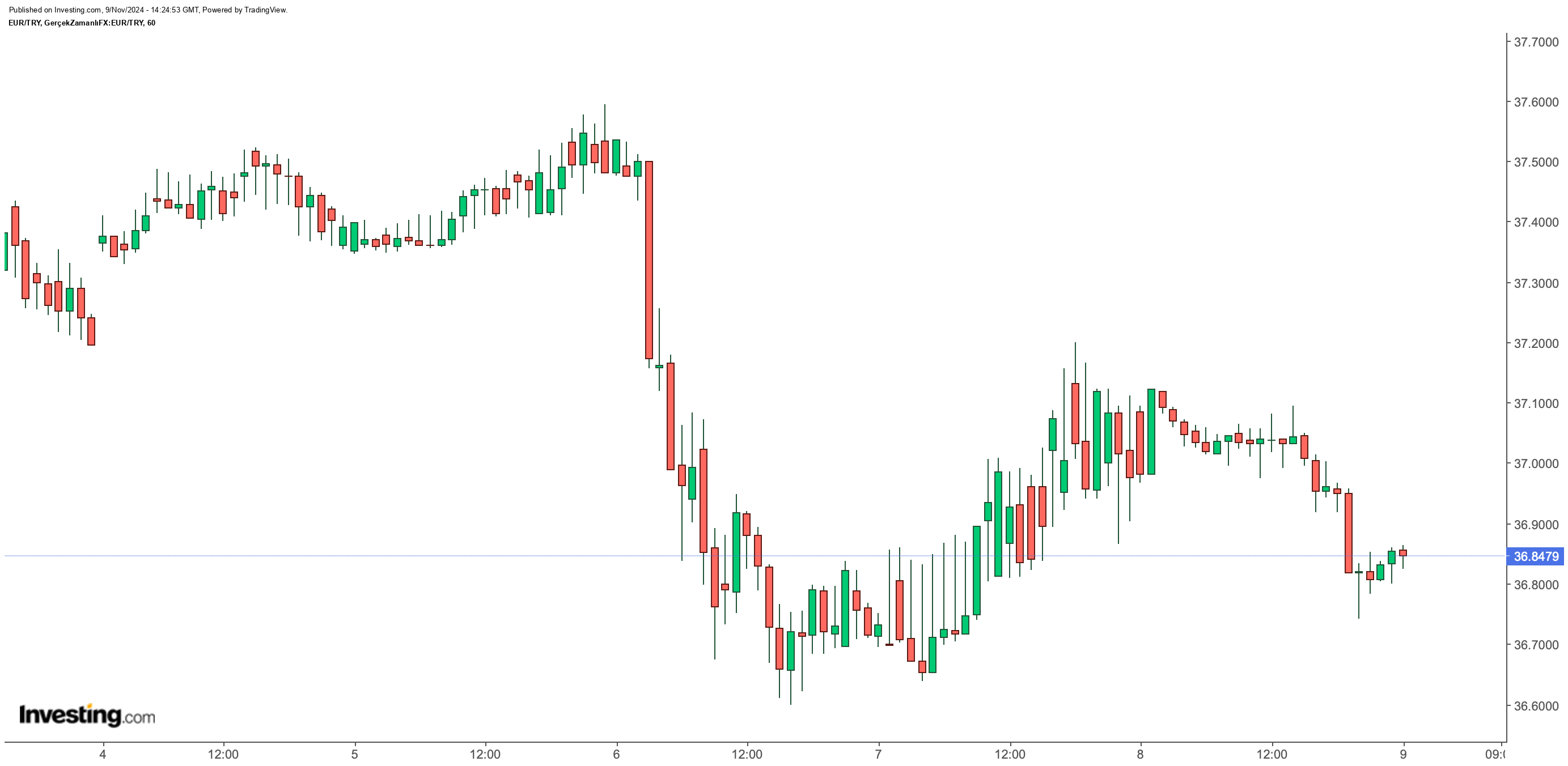 Euro/TL