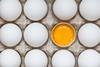 White eggs in a cardboard holder, with one broken in half to reveal the egg yolk and white