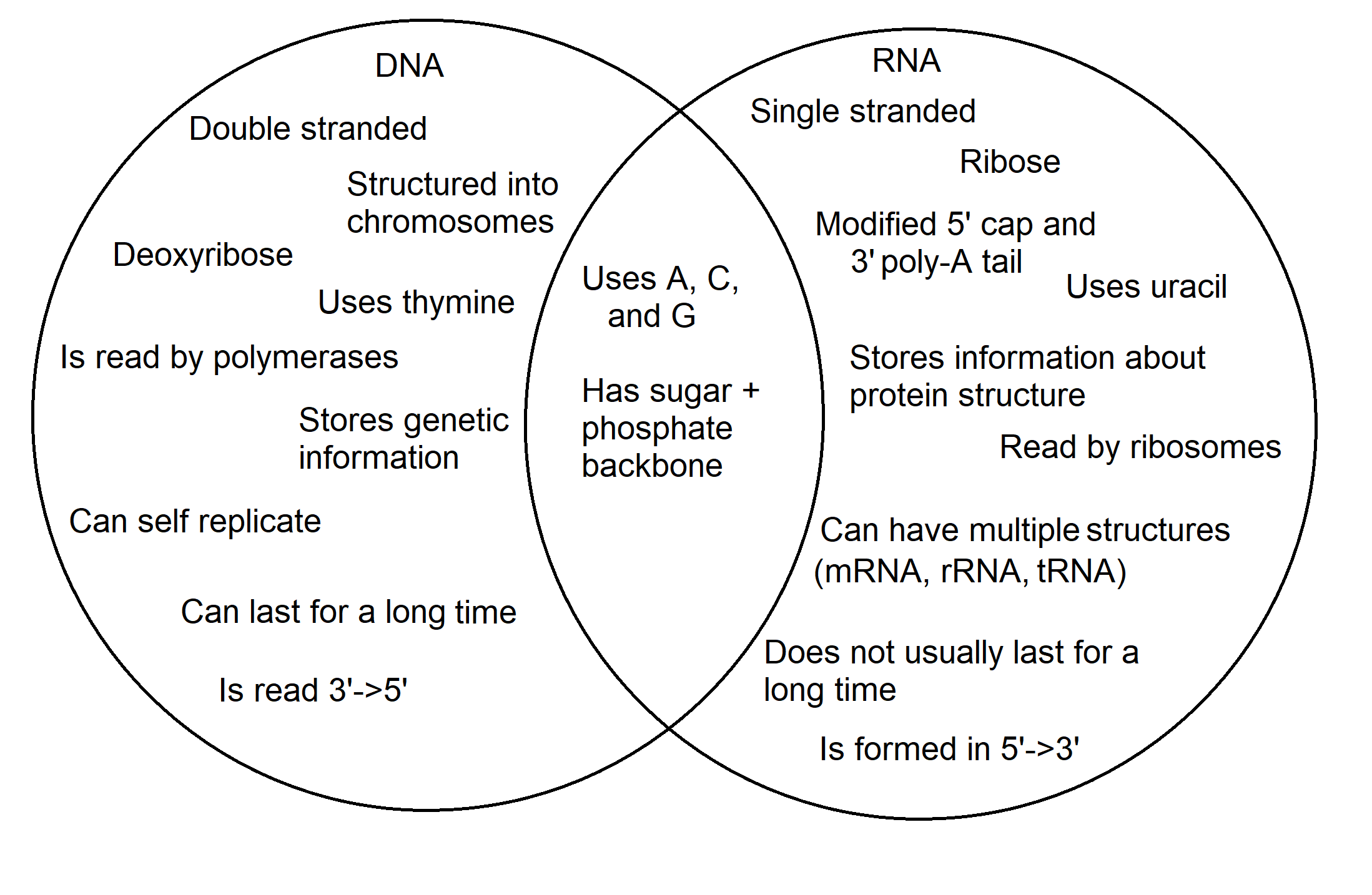 Dna Vs Rna Table