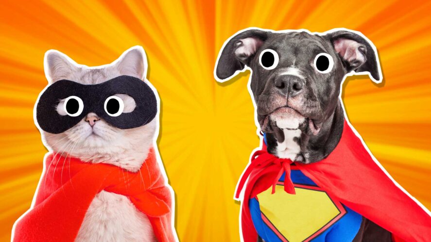 Pet superhero sidekicks