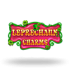 leprechaun_charms_logo.png Logo