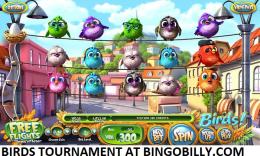 Birds Tourney BingoBillie