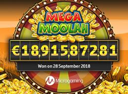 Big 18 9 million record breaking jackpot comes from mega moOlah (1)