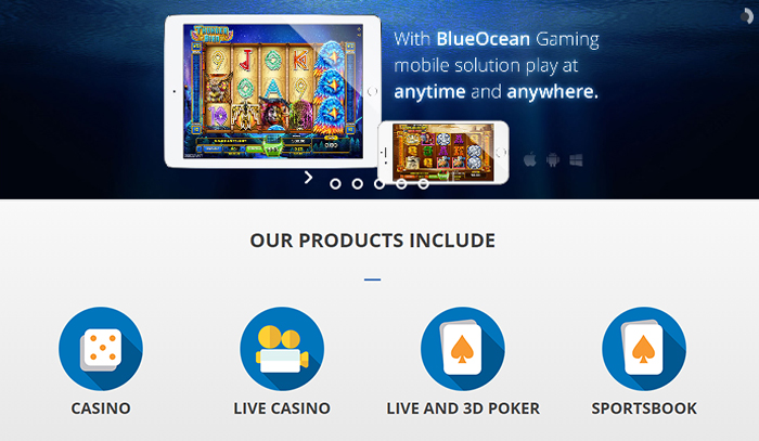 Blue Oceans Casino Offering