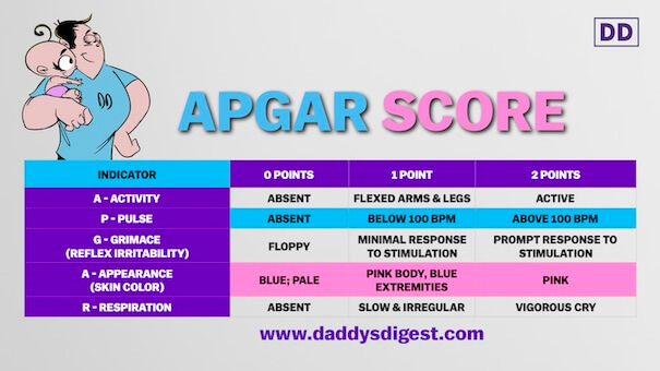 Apgar Score For Newborns What How And Why Explained - vrogue.co