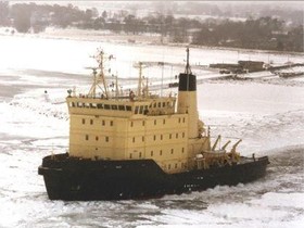 Custom Icebreaker