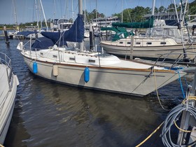 Tartan 37