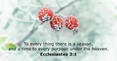 Ecclesiastes 3:1