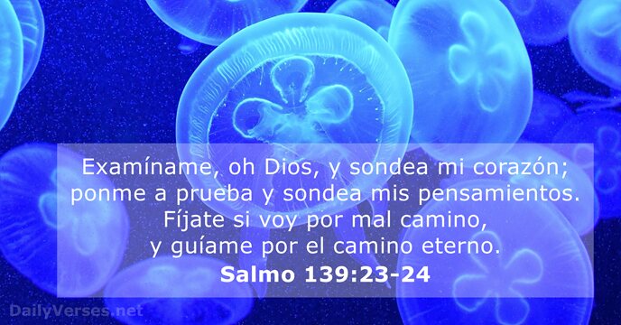 Examíname, oh Dios, y sondea mi corazón; ponme a prueba y sondea… Salmo 139:23-24