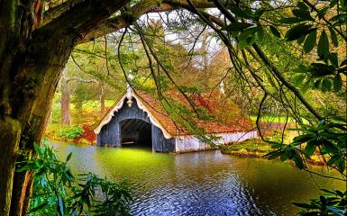 Cabin In Water