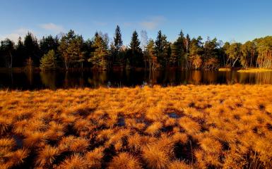 Autumn colors