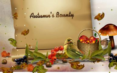 Autumns Bounty