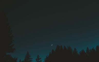 moon, sky, night, trees, crescent