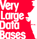 VLDB 1996 Logo