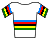 Weltmeistertrikot