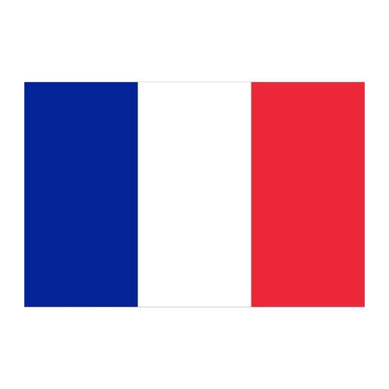 Sintético 93+ Foto La Bandera De Francia Y Su Significado Mirada Tensa