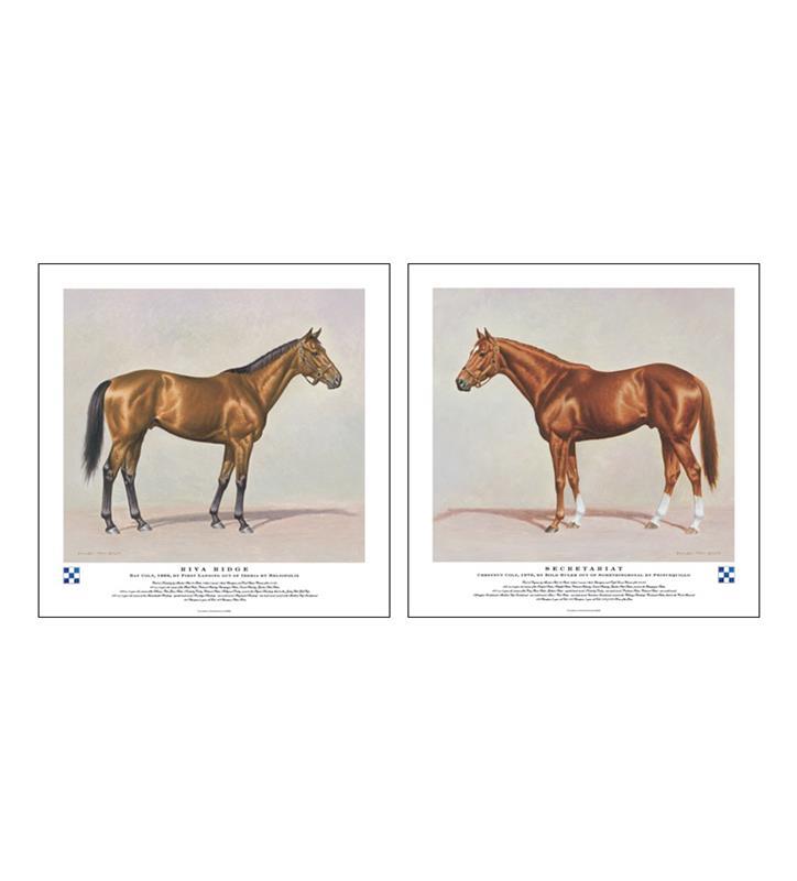 Meadow Champions Signed Prints 
Riva Ridge & Secretariat,MEADOW CHAMPION