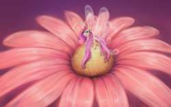 Size: 1600x1000 | Tagged: safe, artist:causticeichor, fluttershy, breezie, g4, breeziefied, female, flower, flutterbreez, solo, species swap