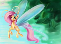 Size: 1500x1090 | Tagged: safe, artist:krololo, fluttershy, breezie, g4, breeziefied, female, flutterbreez, solo, species swap