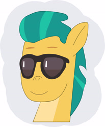 Size: 2412x2929 | Tagged: safe, artist:mistybrightshadow, hitch trailblazer, earth pony, pony, g5, male, stallion, sunglasses