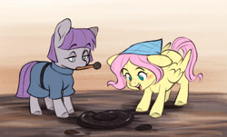 Size: 4669x2812 | Tagged: safe, artist:chub-wub, fluttershy, maud pie, earth pony, pegasus, pony, g4, archaeology, blushing, brush, duo, duo female, eyebrows, eyebrows visible through hair, female, fossil, lesbian, looking at something, mare, maudshy, mouth hold, open mouth, open smile, shipping, smiling, wings