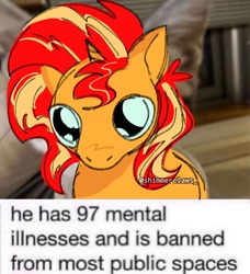 Size: 1080x1184 | Tagged: safe, artist:shimmerclaws_, sunset shimmer, pony, unicorn, g4, big eyes, caption, female, horn, meme, mental illness, real life background, solo, text, two toned mane, yellow coat