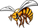 Hornet clipart